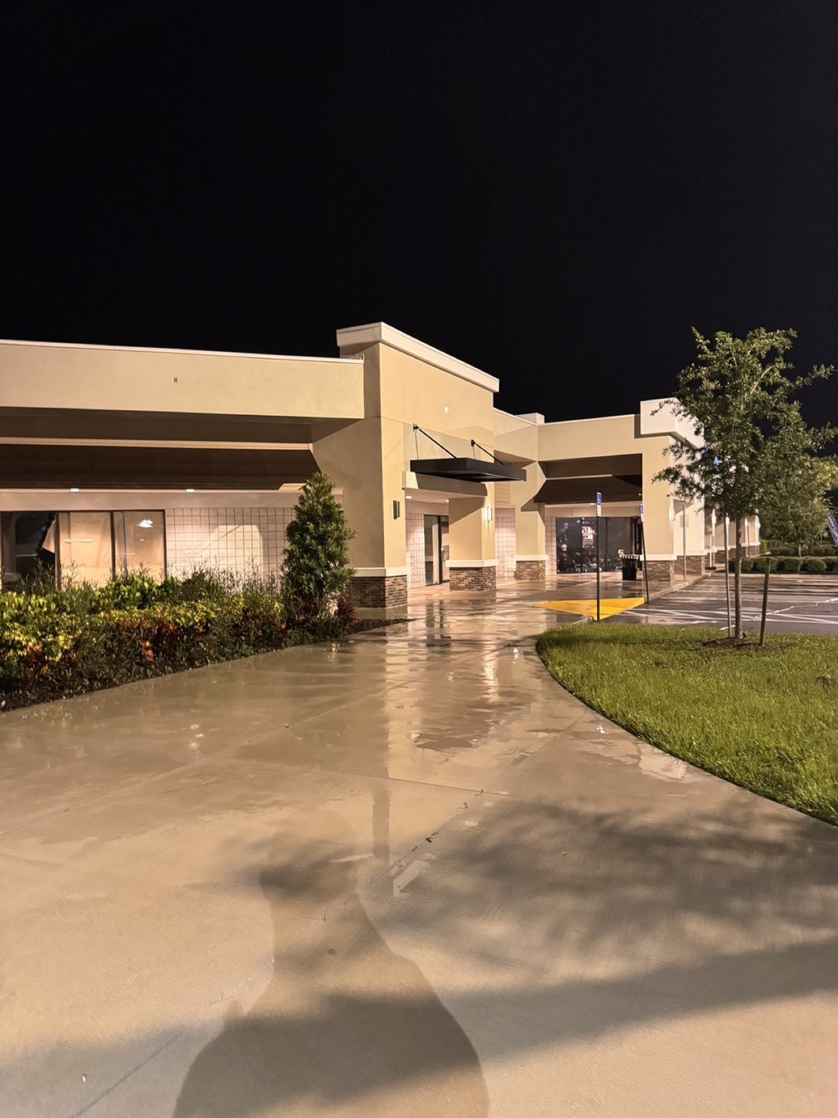 Exterior Detailing work photograph 11