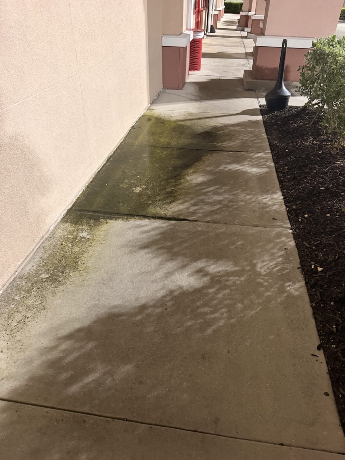 Exterior Detailing work photograph 5